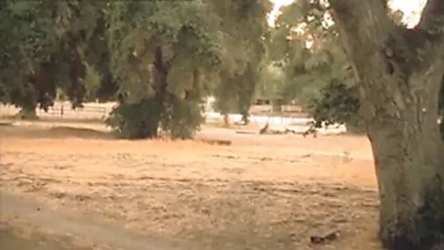 Видео порнуха #162937