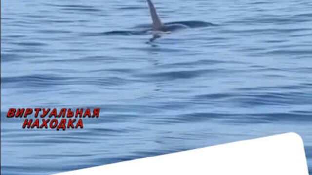 Видео порнуха #57953