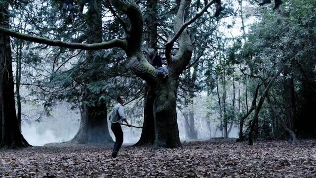 Видео порнуха #165158