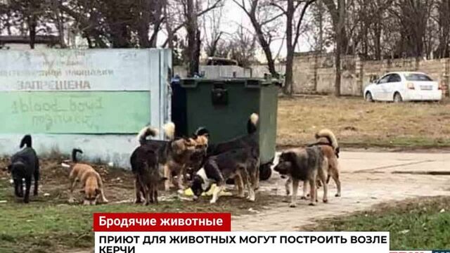 Видео порнуха #190874