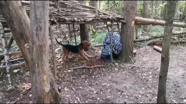 Видео порнуха #122485