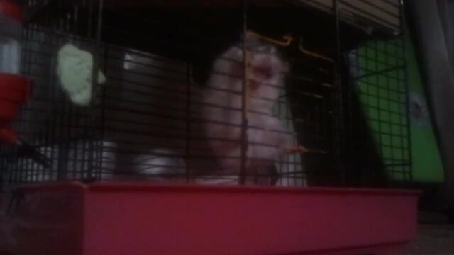 Видео порнуха #175185