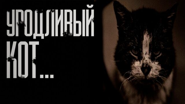 Видео порнуха #123784