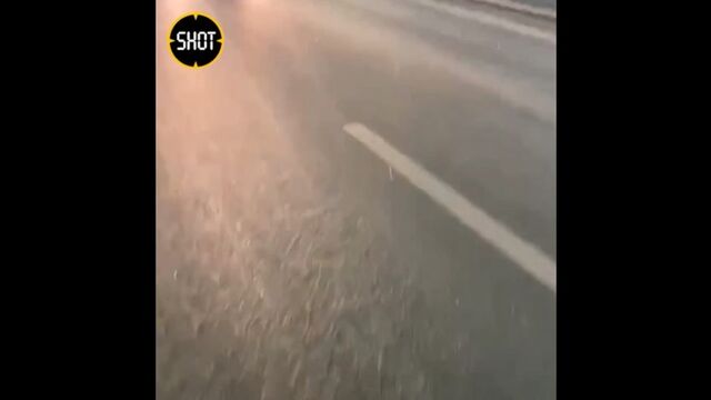 Видео порнуха #173566