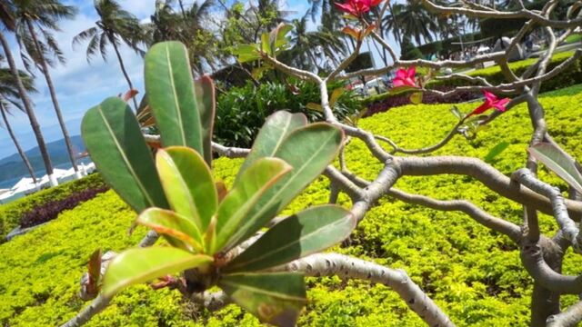 Видео порнуха #191448