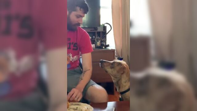 Видео порнуха #42887