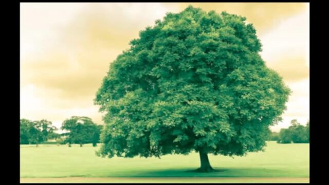 Видео порнуха #15942