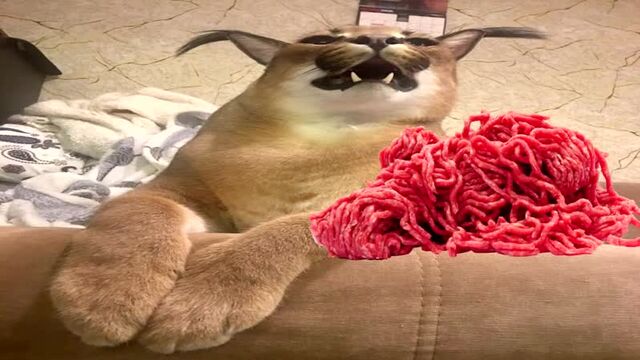 Видео порнуха #70411