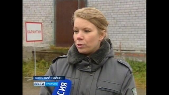 Видео порнуха #190401