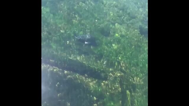 Видео порнуха #153336