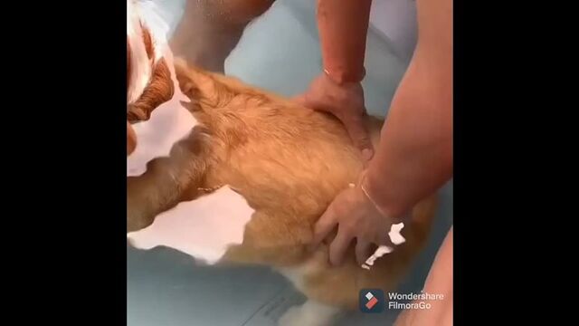 Видео порнуха #75729