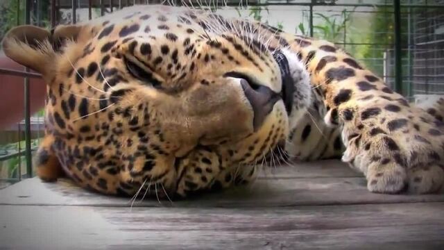 Видео порнуха #123219