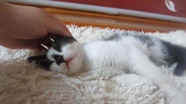 Видео порнуха #36678