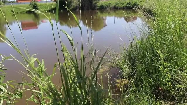 Видео порнуха #154420