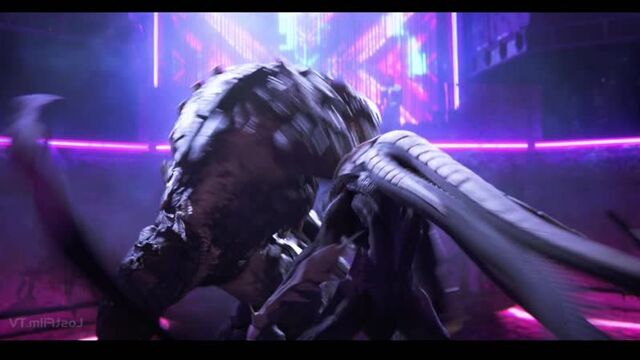 Видео порнуха #51627