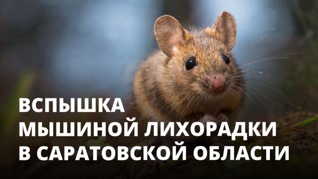 Видео порнуха #189823