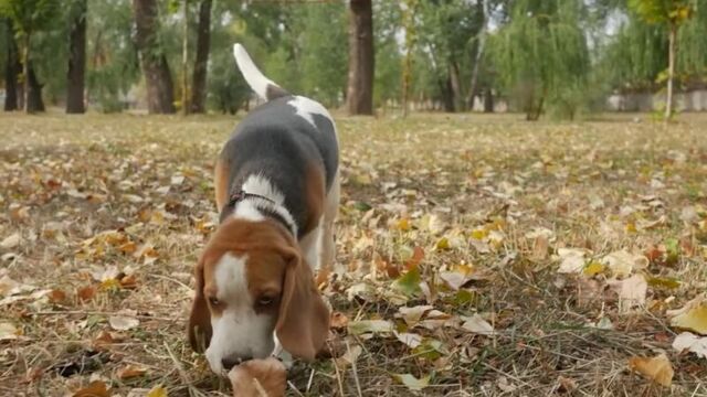 Видео порнуха #16699