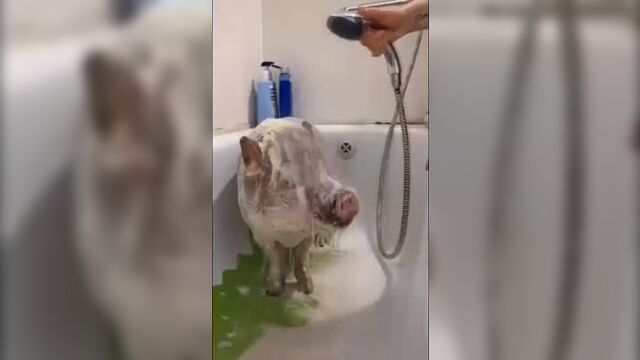 Видео порнуха #59045