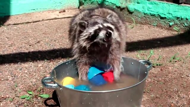 Видео порнуха #131015