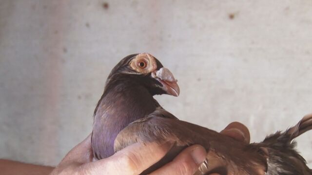 Видео порнуха #174210