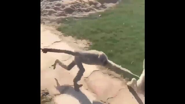 Видео порнуха #191954