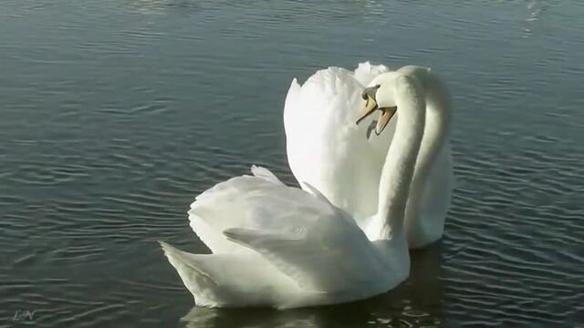 Видео порнуха #49310