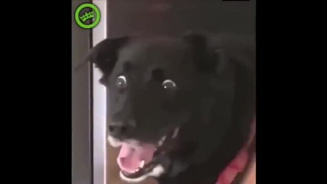 Видео порнуха #50441