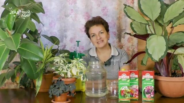 Видео порнуха #108844