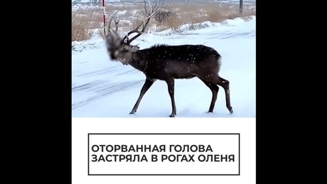 Видео порнуха #136418