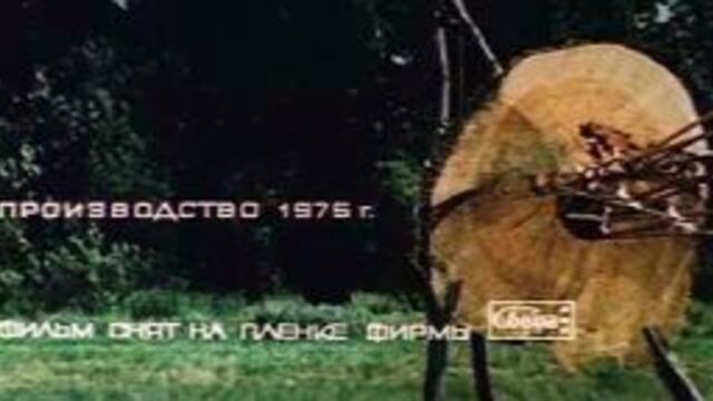 Видео порнуха #1376