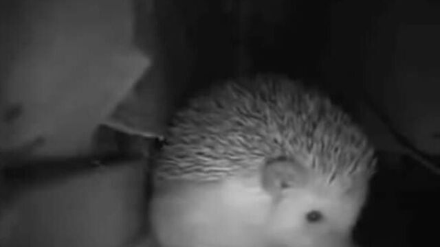 Видео порнуха #55021