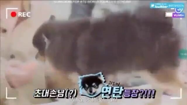 Видео порнуха #35457