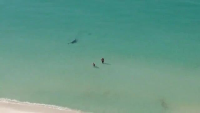 Видео порнуха #20503