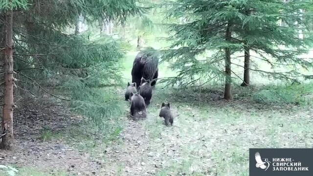 Видео порнуха #170318