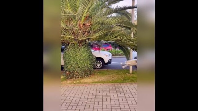 Видео порнуха #107283