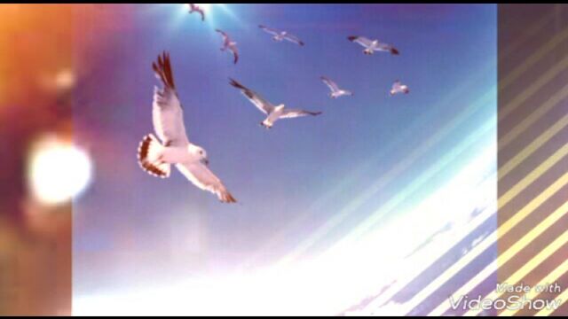 Видео порнуха #191892