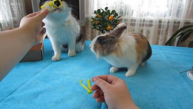 Видео порнуха #163611