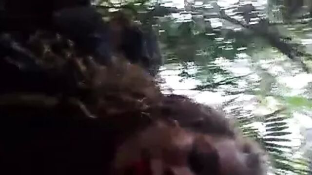 Видео порнуха #32104