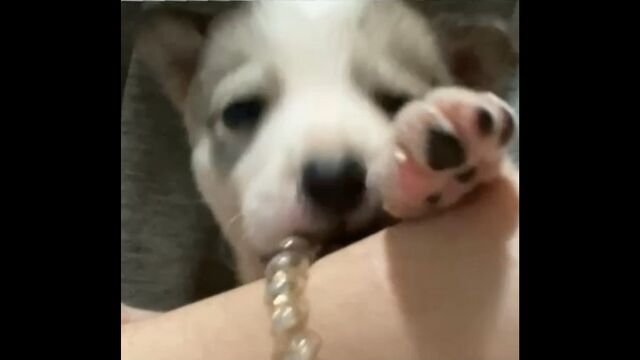 Видео порнуха #189358