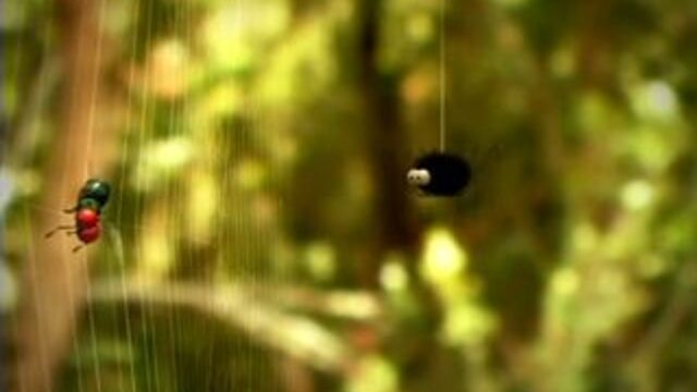 Видео порнуха #10621