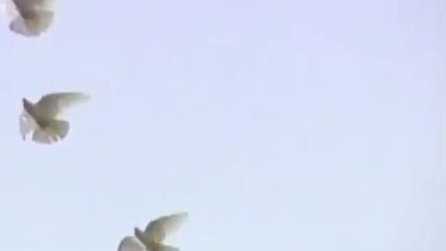 Видео порнуха #46570