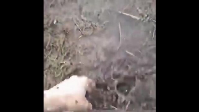 Видео порнуха #178378