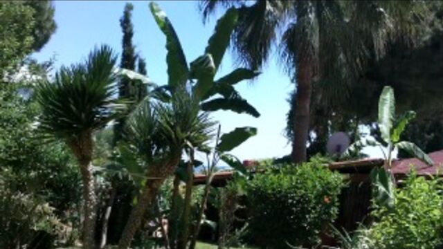 Видео порнуха #4070