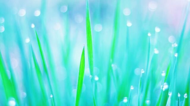 Видео порнуха #84532