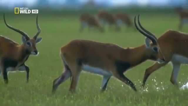 Видео порнуха #30662