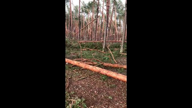 Видео порнуха #78568