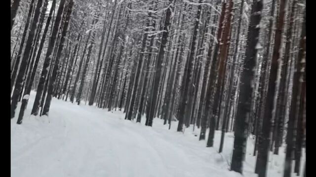 Видео порнуха #117301