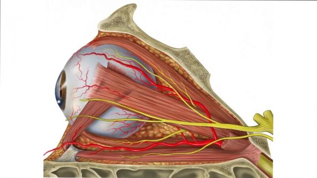 Видео порнуха #24671