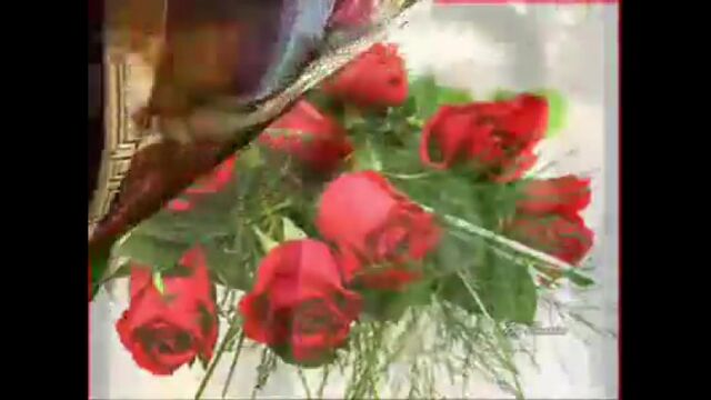 Видео порнуха #4497