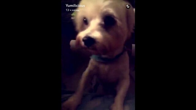 Видео порнуха #19090